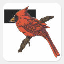 Search for cardinal stickers Bird