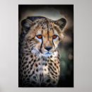 Search for cheetah cat art Predator