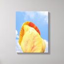 Search for yellow sky Nature