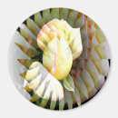Search for petals magnets Yellow