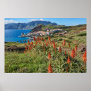 Search for madeira posters Landscape