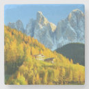 Search for mountains coasters Cabin