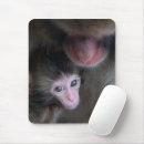 Search for baby monkey mousepads Young animal