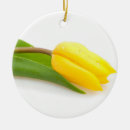 Search for tulip tree Yellow
