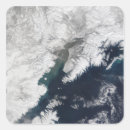 Search for ash stickers Outdoors