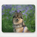 Search for profile mousepads Leaves