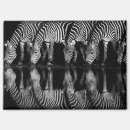Search for togetherness magnets Kenya
