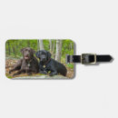 Search for retriever travel accessories Dogs