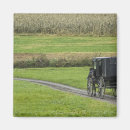 Search for amish magnets Farm