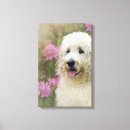 Search for goldendoodle art Pet
