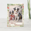Search for australian shepherd christmas cards Animal