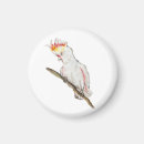 Search for parrot magnets Watercolor