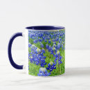 Search for texas bluebonnet mugs Texas state flower