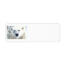 Search for arctic return address labels Wild