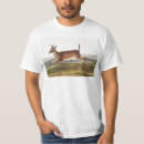 Search for long tail tshirts Mammal