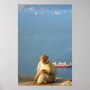 Search for gibraltar posters Sea