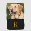 Search for cat golf equipment Pet dog cat