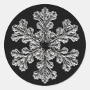 Search for elegant snowflake seals envelope seals Silver