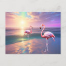 Search for flamingo beach postcards Pink