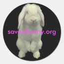 Search for floppy ears stickers Bunny