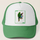 Search for bird pet hats Parrots