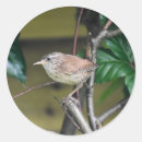 Search for wild birds stickers Ornithology