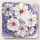 Search for african daisy coasters Flower