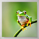 Search for leap posters Animal