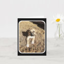 Search for german shepherd puppy cards Animal