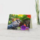 Search for happy jay cards Wildlife