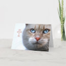 Search for saying thank you cards Cat