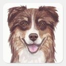 Search for australian shepherd stickers Aussie
