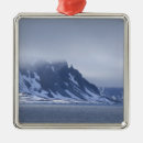 Search for attraction christmas tree decorations Ocean
