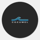 Search for cozumel stickers Palm trees