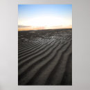 Search for winter roses posters Flowers