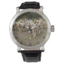 Search for lamb watches Ewes