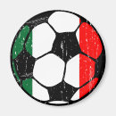 Search for world cup magnets Futbol