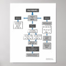 Search for solve posters Education