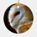 Search for barn owl christmas tree decorations Animals