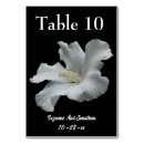 Search for hibiscus table cards Flower