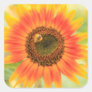 Search for communication stickers Usa