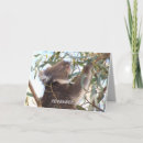 Search for koala birthday cards Nature