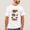 Search for zuni tshirts Uncolored