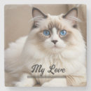 Search for pet photo coasters Keepsake