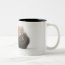 Search for cuddling mugs Feline