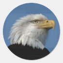 Search for eagle images stickers Bald