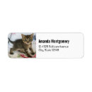 Search for domestic return address labels Feline