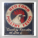 Search for vintage farm posters Chickens