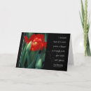 Search for single flower photography Tulip