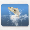 Search for sportsman electronics Fisherman